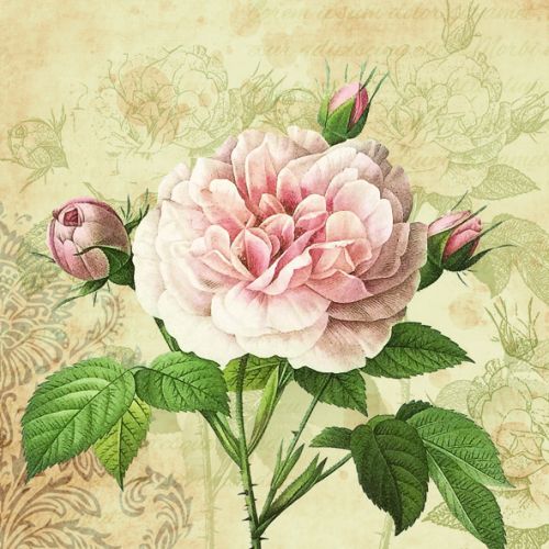 Maki ubrousky paprov 3vrstv 33 x 33 cm 20 ks - Rose with Buds