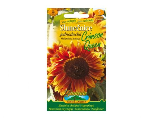 Nohel Garden Slunečnice roční jednoduchá Cromson Queen, oranžová