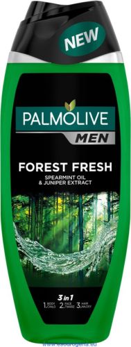Palmolive šampon + sprchový gel Men Forest Fresh 500 ml